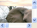 http://www.geraldsgift.co.za/