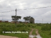 Port Elizabeth Airport to Zuurberg Inn