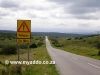 Port Elizabeth Airport to Zuurberg Inn