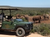 Zuurberg-Inn Game Drive